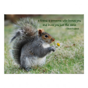 Squirrel with Daisy Friendship Quote Poster