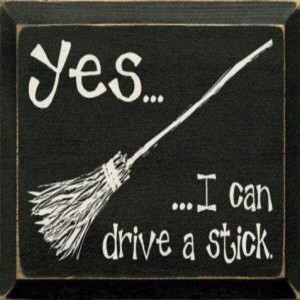 Life Love Quotes Yes I Can Drive A Stick