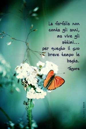 Tagore - La farfalla non conta gli anni__The butterfly doesn't pay ...