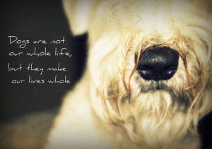 dogs are not our whole life quote
