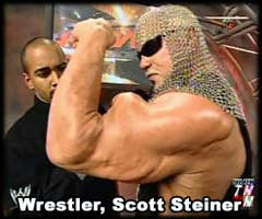 17. Scott Steiner