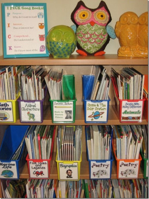 Wonderfully organized classroom library. :)