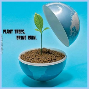 Plant trees bring rain environment quote