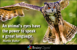 ... animal's eyes have the power to speak a great language. - Martin Buber
