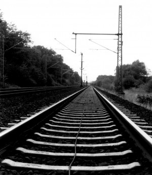 Funny Quotes Contact Us DMCA Notice