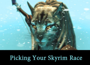 with all of the options skyrim is throwing at you in terms of races to ...