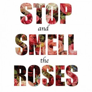 Stop and smell the roses.