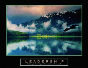 Congress set to give away old-growth rainforest in Alaska's Tongass ...