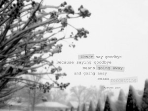 Goodbye, quotes and sad pictures