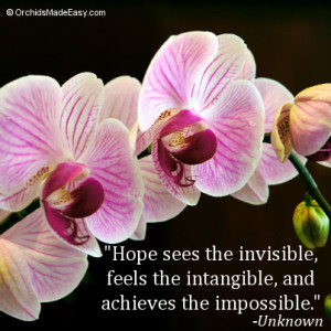 the invisible feels the intangible and achieves the impossible unknown