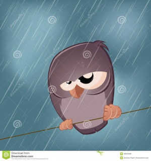 Funny illustration of a sad bird on a rainy day.