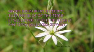 Never give up on a dream... quote wallpaper