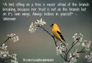 American Goldfinch with quote