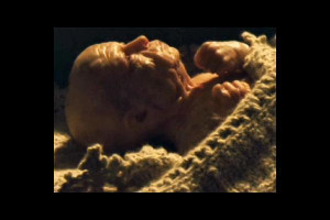 Image of The Curious Case of Benjamin Button film