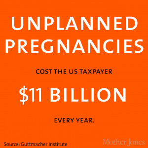 ... government pregnancy pro-choice economics birth control health care
