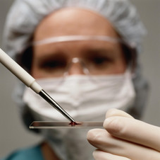 Contact us to discuss your project or request a quotation.