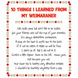 Funny Things I Learned From My Weimaraner Cut Outs