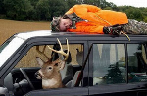 World’s worst deer hunter.