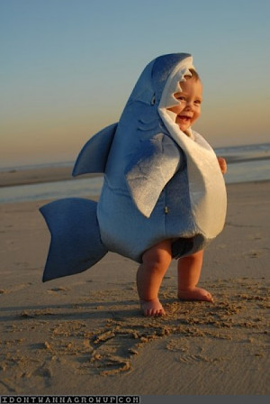 land shark baby costume beach cute picture