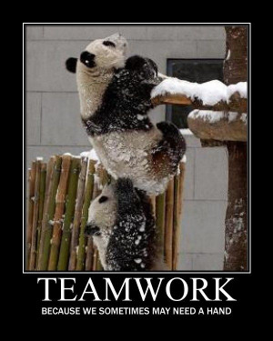 Inspirational teamwork quoteMy Friend, Baby Pandas, Teamwork, Best ...