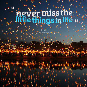 Quotes Picture: never miss the little things in life