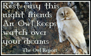 ... With Owls, Owls Quotes, Goodnight Image With Owls, Owls Goodnight