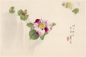 Budding Flower, 1916