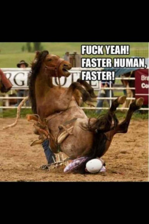 Melbourne Cup 2013 race results and placings