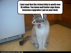 funny pictures i just read that the richest kitty is worth over ...