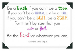 This quote from Dr. Martin Luther King Jr is so true... Be the best ...