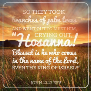... palm trees and went out to meet him, crying out, “Hosanna! Blessed
