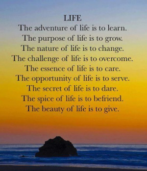 life is more than just going through the motions life encompasses all ...