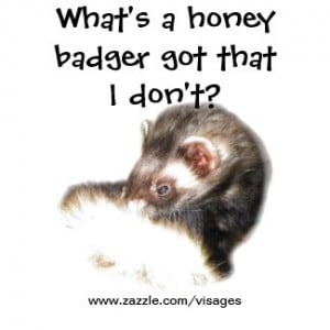 Funny Ferret Quote What's a Honey Badger Got? by Visages