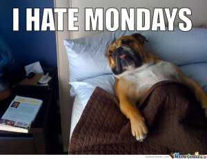 hate Mondays