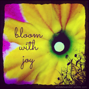 ... Picture Quotes featuring Wildlife, Flora and Fauna Photography