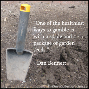 Quote About Gardening and Seeds