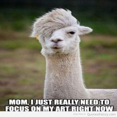 hipster llama funny pictures Quotes