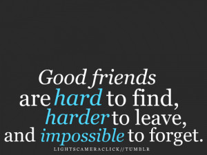 Friendship Quote ~ Good Friends Are Hard To Find