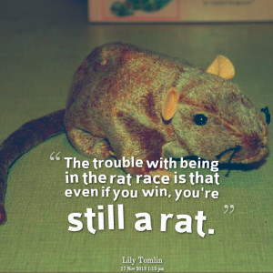 Quotes Picture: the trouble with being in the rat race is that even if ...