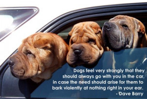 Dog Quote Images