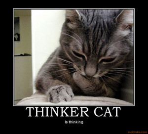 Very Funny Cat Motivational Posters