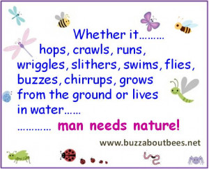 Bee Quotes And Proverbs