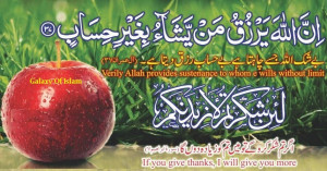Quranic Ayat (Verse) about Rizq - Quotes about Rizq - Allah provides ...