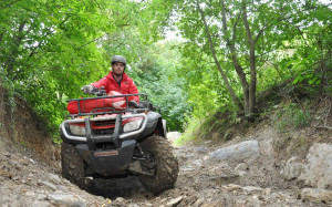 Atv Quad Honda