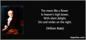 ... , With silent delight, Sits and smiles on the night. - William Blake