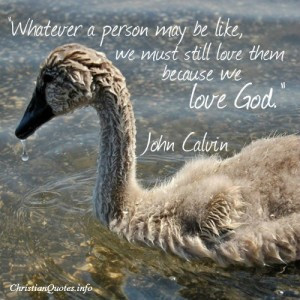 john calvin quote images john calvin quote love god