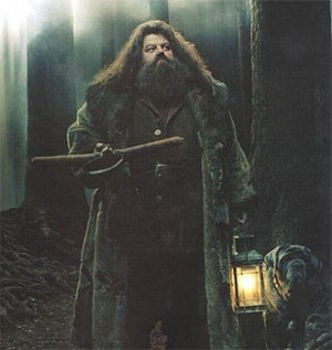 Hagrid (wearing his overcoat) with Fang, in the Forbidden Forest.
