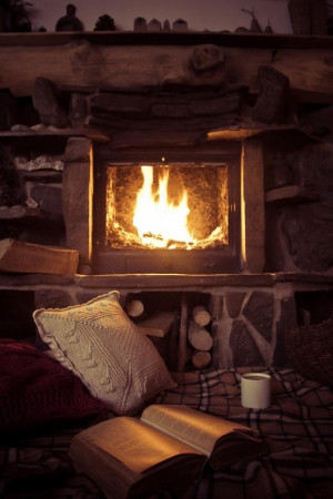 Fireplace. Warm Cozy. Reading Spot.