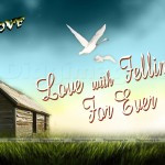 Love Failure Quotes HD Wallpaper 23