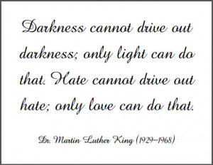 cannot drive out darkness; only light can do that. Hate cannot ...